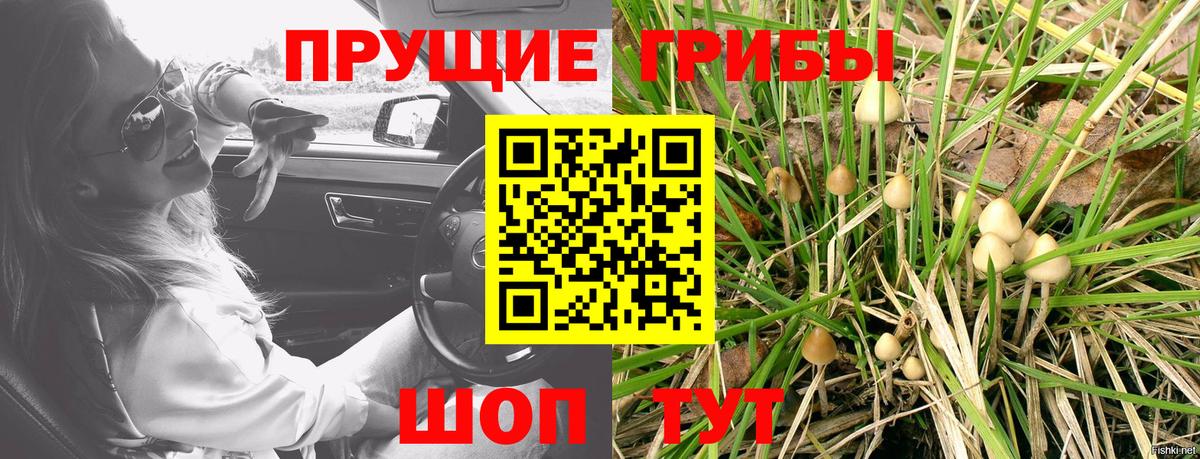 Псилоцибиновые грибы ЛСД  Вход с VPN  Кинешма  Галлюциногенные грибы Psilocybine cubensis 