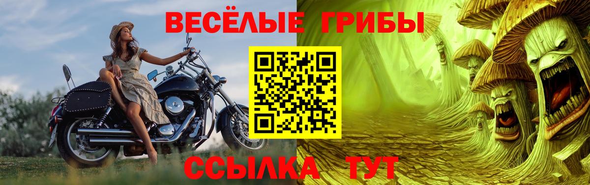 Псилоцибиновые грибы ЛСД Кинешма
